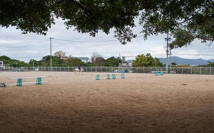 Mihama Horse Riding Club equestrian area